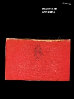 Book Cover for Amnesiac by Radiohead