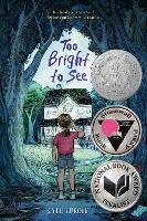 Book Cover for Too Bright to See by Kyle Lukoff