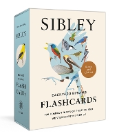 Book Cover for Sibley Backyard Birding Flashcards, Revised and Updated by David Allen Sibley