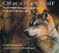 Book Cover for Once A Wolf by Stephen Swinburne