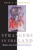 Book Cover for Strangers in the Land by Eric J. Sundquist