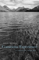 Book Cover for Conscious Experience by Anil Gupta