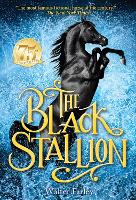 Book Cover for The Black Stallion by Walter Farley