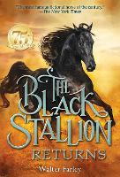 Book Cover for The Black Stallion Returns by Walter Farley