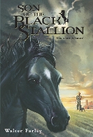 Book Cover for Son of the Black Stallion by Walter Farley