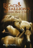 Book Cover for The Black Stallion's Blood Bay Colt by Walter Farley