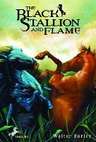 Book Cover for The Black Stallion and Flame by Walter Farley