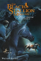 Book Cover for The Black Stallion Mystery by Walter Farley