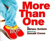 Book Cover for More Than One by Miriam Schlein