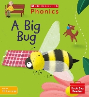 Book Cover for A Big Bug (Set 3) by Karra McFarlane