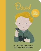 Book Cover for David by Ma Isabel Sánchez Vegara