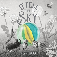 Book Cover for It Fell From The Sky by The Fan Brothers