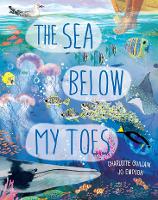 Book Cover for The Sea Below My Toes by Charlotte Guillain