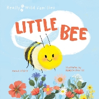 Book Cover for Little Bee by Anna Brett