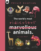 Book Cover for The World's Most Ridiculous Animals by Philip Bunting