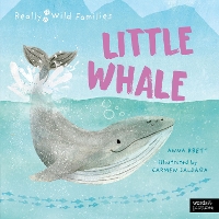 Book Cover for Little Whale by Anna Brett