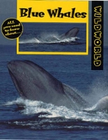 Book Cover for Blue Whales by Patricia Miller-Schroeder