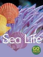 Book Cover for Sea Life by Katy Pike, Garda Turner, Maureen O'Keefe