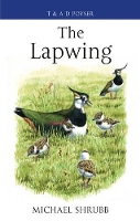 Book Cover for The Lapwing by Michael Shrubb