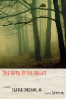 Book Cover for The Devil in the Valley by Castle Freeman