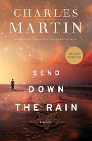 Book Cover for Send Down the Rain by Charles Martin