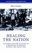 Book Cover for Healing the Nation by Jeffrey Reznick