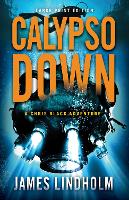 Book Cover for Calypso Down (Large Print Edition) by James Lindholm