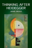 Book Cover for Thinking After Heidegger by David Wood