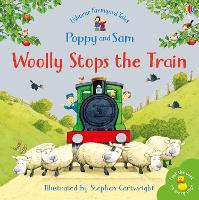 Book Cover for Woolly Stops the Train by Heather Amery