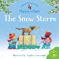 Book Cover for The Snow Storm by Heather Amery