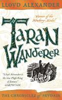 Book Cover for Taran Wanderer by Lloyd Alexander