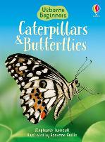 Book Cover for Caterpillars and Butterflies by Stephanie Turnbull