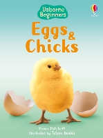 Book Cover for Eggs and Chicks by Fiona Patchett