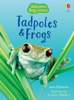 Book Cover for Tadpoles and Frogs by Anna Milbourne