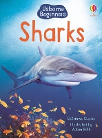 Book Cover for Sharks by Catriona Clarke