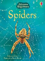 Book Cover for Spiders by Rebecca Gilpin