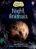 Book Cover for Night Animals by Susan Meredith