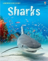 Book Cover for Discovery Sharks by Jonathan Sheikh-Miller