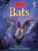 Book Cover for Bats by Megan Cullis