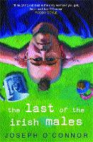 Book Cover for The Last of the Irish Males by Joseph O'connor