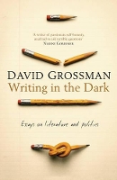 Book Cover for Writing in the Dark by David Grossman