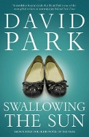 Book Cover for Swallowing the Sun by David Park