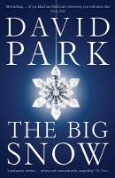 Book Cover for The Big Snow by David Park