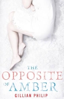 Book Cover for The Opposite of Amber by Gillian Philip