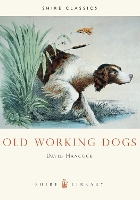Book Cover for Old Working Dogs by David Hancock
