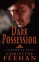 Book Cover for Dark Possession by Christine Feehan