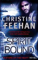 Book Cover for Spirit Bound by Christine Feehan