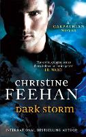 Book Cover for Dark Storm by Christine Feehan