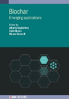 Book Cover for Biochar by Professor Tom Miles