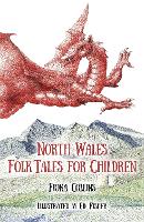 Book Cover for North Wales Folk Tales for Children by Fiona Collins